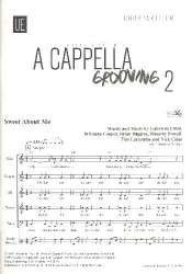 A cappella Grooving Band 2 : - Johannes Steiner