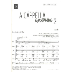 A cappella Grooving Band 2 : - Johannes Steiner