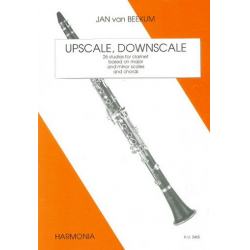 Upscale Downscale - Jan van Beekum