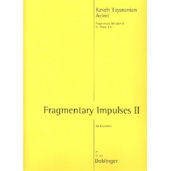 Fragmentary Impulses no.2 : - Kaveh Tayaranian Azimi