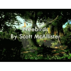 Freebirds - Wind Orchestra - Scott McAllister
