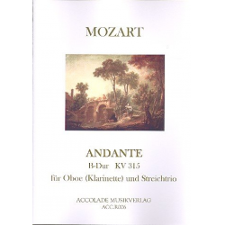 Andante Kv315 - Wolfgang Amadeus Mozart