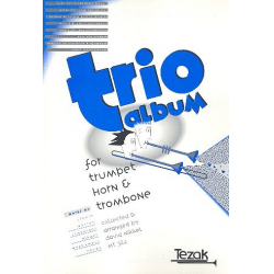 Trio-Album -David Nikkel