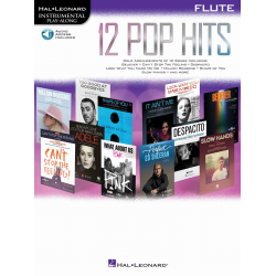 12 Pop Hits - Flute - Diverse