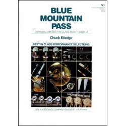 Blue Mountain Pass - Chuck Elledge