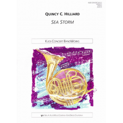 Sea Storm - Quincy C. Hilliard