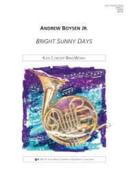 Bright Sunny Days - Andrew Boysen jr.