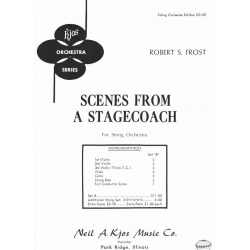 SCENES FROM A STAGECOACH - Robert S. Frost