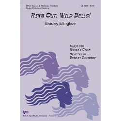 Ring Out Wild Bells - Bradley Ellingboe