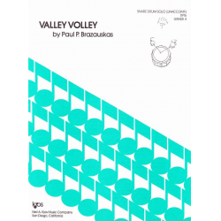 Valley Volley - Paul Brazauskas