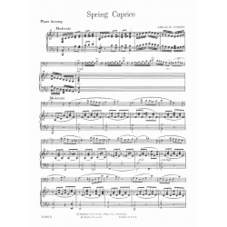 Spring Caprice - Jaroslav Cimera