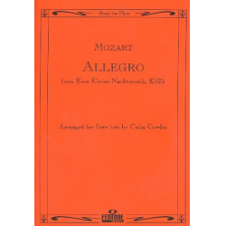 Allegro aus Eine kleine Nachtmusik KV525 : - Wolfgang Amadeus Mozart