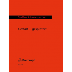 Gestalt ... gesplittert - Steffen Schleiermacher