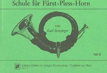 Schule für das Fürst-Pless- - Karl Benzinger