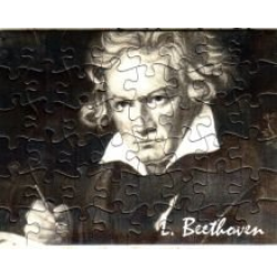 Muzzle Portrait Beethoven