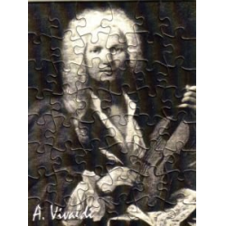 Muzzle Portrait Vivaldi