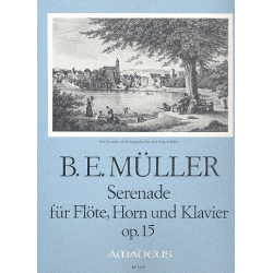 Serenade op.15 - für Flöte, - Bernhard Eduard Müller
