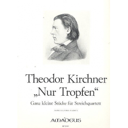 Nur Tropfen - Ganz kleine Stücke - Theodor Kirchner