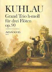 Grand Trio h-moll op.90 - für 3 Flöten - Friedrich Daniel Rudolph Kuhlau