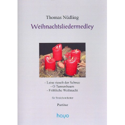 Weihnachtslieder-Medley : - Norbert Feibel