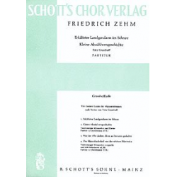 Grasshoffiade - Friedrich Zehm