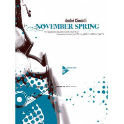 November Spring - Andre Cimiotti