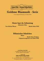Heute hast du Geburtstag (Polka) / Böhmisches Ständchen (Walzer) - Friedauer / Wolf