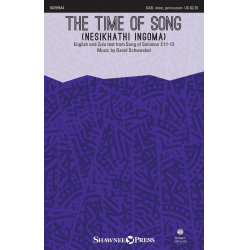 The Time of Song - David Schwoebel