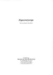Zigeunerjunge - Einzelausgabe Klavier (PVG) - Hans Blum
