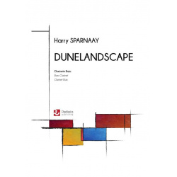 Dunelandscape - Harry Sparnaay