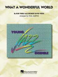 Sammy Davis, Jr. - “Mr. Wonderful” Broadway Musical 1956-57