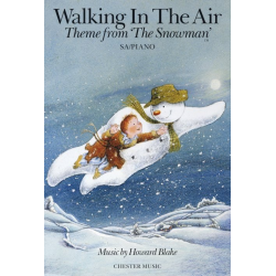 Walk in the Air - Howard Blake
