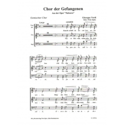 Chor der Gefangenen aus Nabucco - Giuseppe Verdi