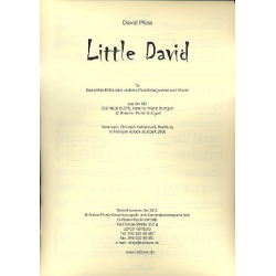 Little David für Sopranblockflöte - David Plüss