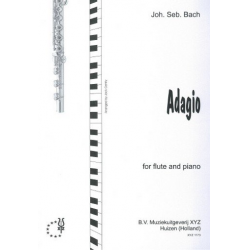 Adagio from sinfonia BWV156 - Johann Sebastian Bach