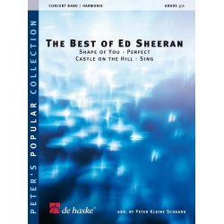 The Best of Ed Sheeran (Medley) - Ed Sheeran