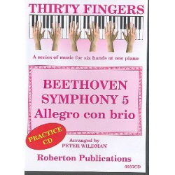 Symphony no.5 - Allegro con brio CD - Ludwig van Beethoven