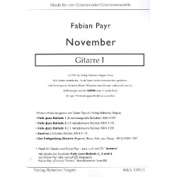 November für 4 Gitarren - Fabian Payr