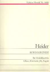 Beweggründe - Werner Heider