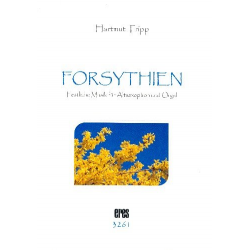 Forsythien - - Hartmut Tripp
