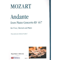 Andante from Piano Concerto KV467 - Wolfgang Amadeus Mozart