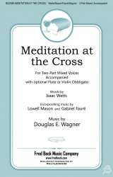 Meditation at the Cross - Douglas E. Wagner