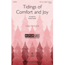 Tidings of Comfort and Joy - Audrey Snyder