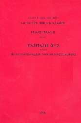 Fantasie über den Sehnsuchtswalzer von Franz Schubert op.2 - Franz Strauss