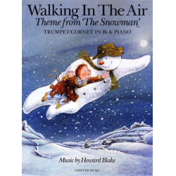 Walking in the Air - Howard Blake