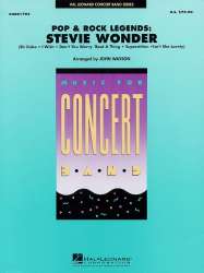 Pop & Rock Legends: Stevie Wonder - John Wasson