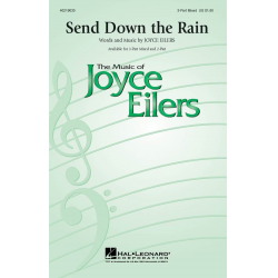 Send Down the Rain - Joyce Eilers-Bacak