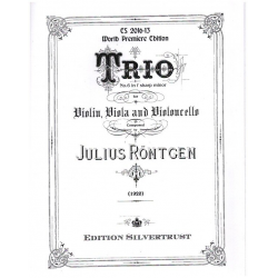 Trio in f sharp Minor no.6 - Julius Röntgen