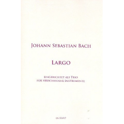 Largo BWV1043 - Johann Sebastian Bach
