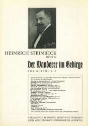 Der Wanderer im Gebirge - Heinrich Steinbeck